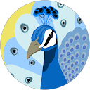 _Belkis 25 profile picture